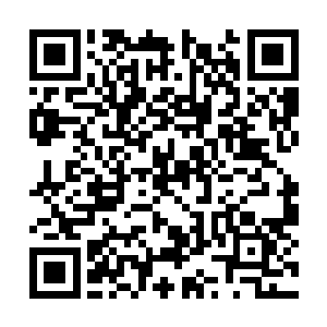 叔本华认为充足理由律的四种不同表现形式分别是二维码生成