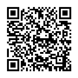 取下了这条小鲭鱼贝海就把它和上一条一起扔到了盆子里二维码生成