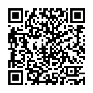 取了两颗突破罗天上仙的破阶丹分别递给了沙小凡和量洞天二维码生成