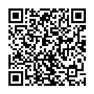 取出之前炼制而成的一枚万毒丹塞进了巨型章鱼的大嘴里二维码生成