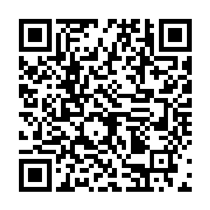 取回寒光之握的事情自然就交给了当时的女巫之王来办二维码生成