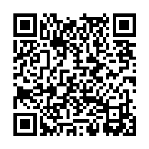 取得傲人成绩的电台司令乐队的舞台表演对决之中二维码生成