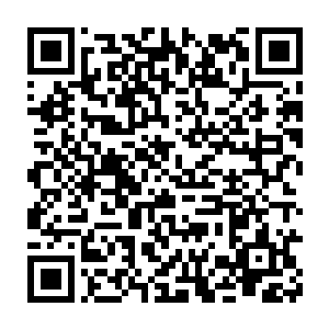取来一张白纸将那蚊子尸体包裹起来连同那变黑的银针扔在桌面上二维码生成