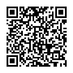 取而代之的是一股浓郁无比的药材香味开始散发出来二维码生成