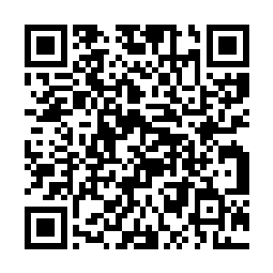 取而代之的是已经拿回了转生轮盘和地书的酆都大帝二维码生成