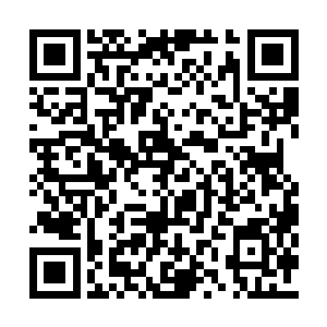 取而代之的是毋庸置疑的决断与冷漠无比的凶狠二维码生成