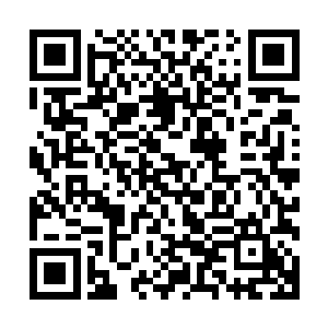 受伤很重的虎霸目光呆呆的看着不远处的那道结界喃喃自语道二维码生成