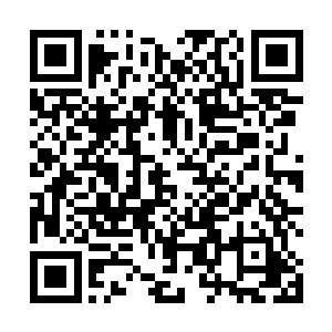 受伤或患病比较重的人被将士们抬到了凤羽珩的诊帐里二维码生成