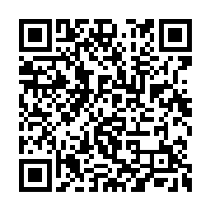 受伤状态下韩风的速度已经接近寻常大圣域后期二维码生成