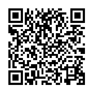 受到这些新鲜事物的影响修真者的心思也或许不再那么单纯二维码生成
