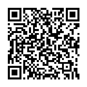 受这样的心理控制贝海就在大西洋里多呆了几天二维码生成