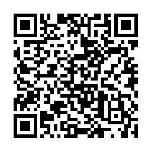 变化成人形与他们一起上来的天幸直接飞身落到岸上二维码生成