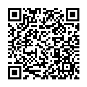 变化最明显现在看来最为强壮的大约十四五条公母狗二维码生成