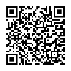 变小像只金丝雀却坚持我叫它凤凰说那是尊严问题二维码生成