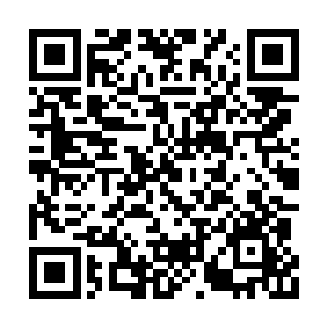 变异嗜血藤接受的乃是木源珠的木系精气的洗礼二维码生成