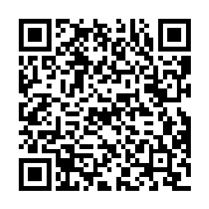 变形金刚多年积攒下的粉丝以及杜克强大的个人号召力二维码生成