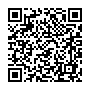 变得只能使用风雨雷电火山地震海啸等来展现自己的威严二维码生成