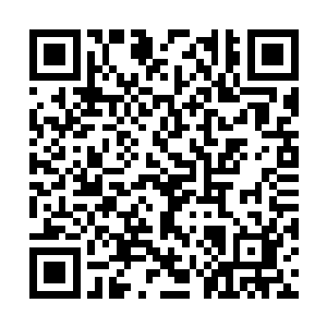 变得和天空中那只耀武扬威的巨大骨鸟一样巨大时二维码生成