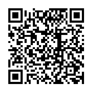 变得忧郁而消沉……没有谁能一下接受自己抛弃了熟悉的世界二维码生成