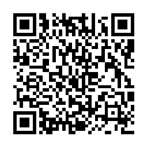 变成一颗巨型槐树的姥姥也挥起了自己那粗壮而有力的树枝二维码生成