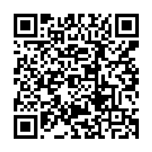 变成了杀人狂徒而遭受通缉或者已经被人砍下脑袋二维码生成