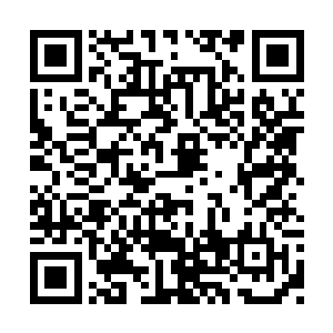 变成了白骨堆散落在了生长着妖艳花朵的土地上二维码生成