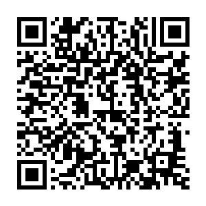 变成了能够独立思考并考虑自己未来事业目标所在的都市新高端女性二维码生成