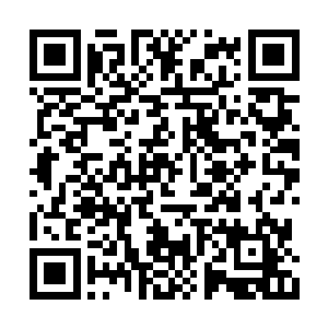 变看到站在大厅中负手而立正在赏画的中年女子二维码生成