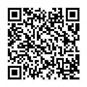 叛军各个暗堡之中节奏分明的第一波弹幕明显地打高了二维码生成
