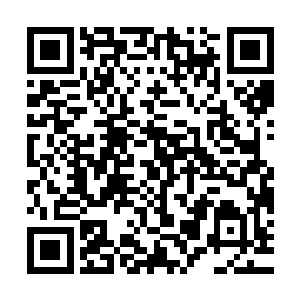 叛能者当初其实就是一群背叛了原本势力的异能者所组织而成的二维码生成