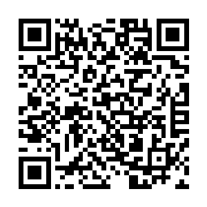 口中也是不停的发出这样的呼声催促血玲珑跑得更快一些的二维码生成