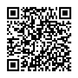 口口声声叫嚷着让徐汇等人将隐藏起来的楠圣姑交出来二维码生成