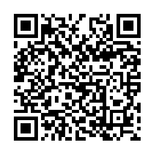 古丽莎也抱着她那个小包包跟黛茜一起坐在沙发边二维码生成