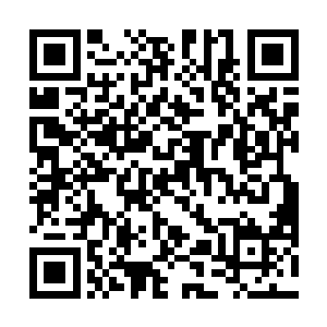 古丽莎也闻所未闻的一瞬不眨看着眼前的战斗场面喃喃二维码生成