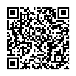 古丽莎抬起头来的脸上笑容更是真挚得没有半点杂质二维码生成