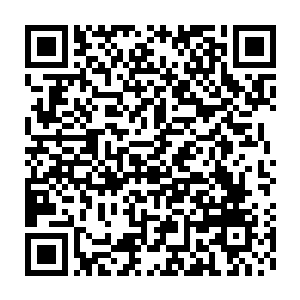 古勃勒就是通过血脉里面的颤抖感应到了雷林身上的科莫音巨蛇血脉二维码生成