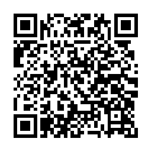 古圣界土著竟然比他们早一步找到了巨神兵仓库二维码生成