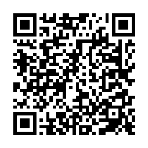 古族之树和祭祀神鼎以及兰苑那里都有太上长老守护了二维码生成