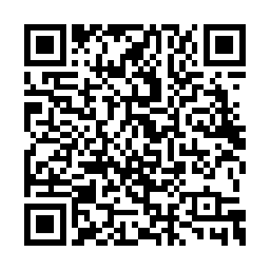 古族这是要利用所有人的力量来对付鬼手十三啊二维码生成