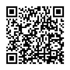 古老威武而狰狞的龙头状火焰已然再次变化成了游龙状二维码生成