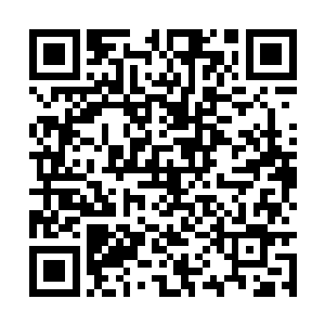 古菲菲在这段时间之中一直就没有接到任何的任务二维码生成