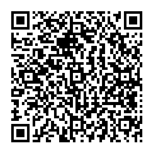 古藤希望和春三十娘这些早已经达到天尊后期巅峰这段时间一直在融合兽试炼空间内猎杀融合兽二维码生成