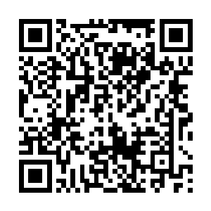 古铜色的粗糙肌肤在雨水的冲刷下仿若褪色般慢慢变淡二维码生成