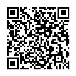 古龙秀似乎也很意外她的层层甲盾竟把自己护卫得如此的周全二维码生成