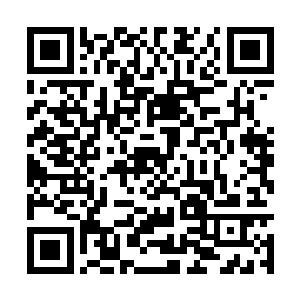 句句不离王枫与茜茜皇后在密室中渡过的两个小时二维码生成