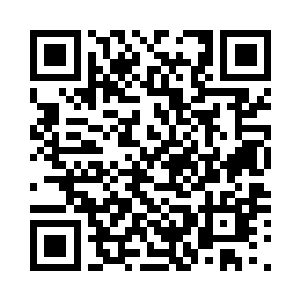 另一个导演带着类似的作品来鹿特丹二维码生成