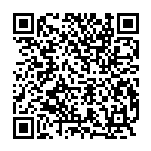 另一个看似很有来头的魔修似乎也想要知道该以怎么态度来看待我二维码生成