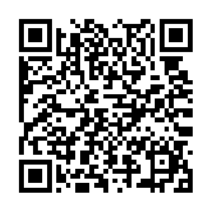 另一个看起来神情比较阴柔的男子冷冷的看着萧易二维码生成