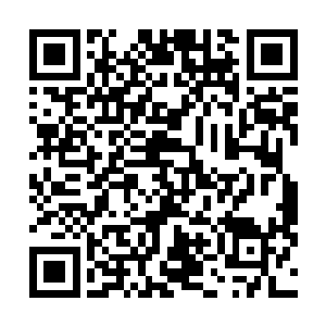 另一份草药则是依旧被许紫烟运用法力托举在面前的空中二维码生成