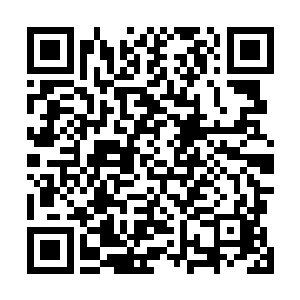 另一只人面鲲鹏抓起捡回的能量枪对着鲲鹏王就扣了一下二维码生成